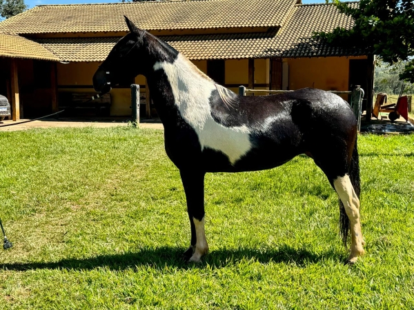 SAPECA ÁGUAS FORMOSA